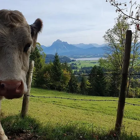 Alpenblick 2, Bergblick Pur Im Allgaeu *