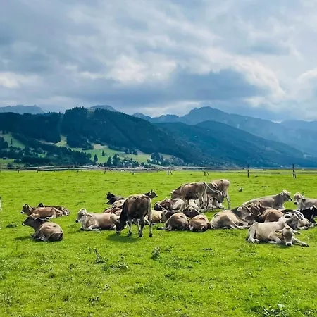 Apartamento Alpenblick 2, Bergblick Pur Im Allgaeu Halblech