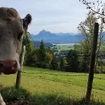 Alpenblick 2, Bergblick Pur Im Allgaeu *